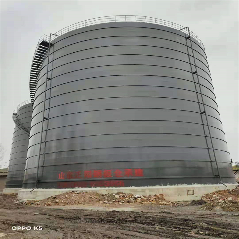 金水3万吨大型钢板库