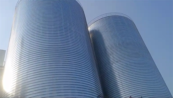 金水2座混凝土高架卷板仓